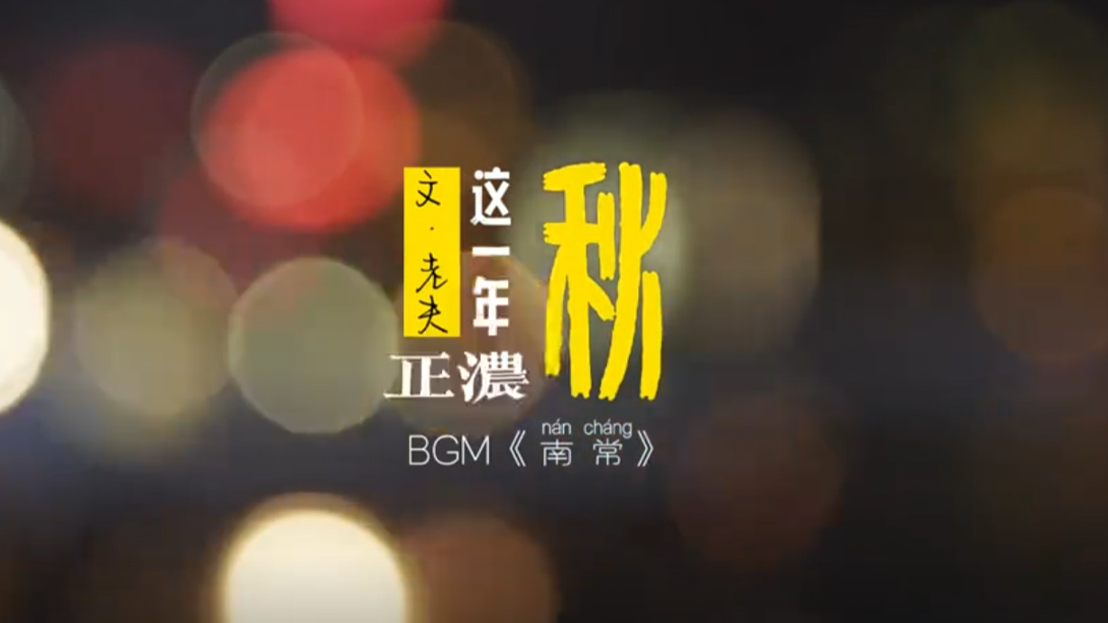 这一年：秋，正浓